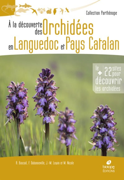 À la découverte des orchidées en Languedoc et pays catalan