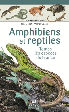 Les miniguides nature - Amphibiens et reptiles de France