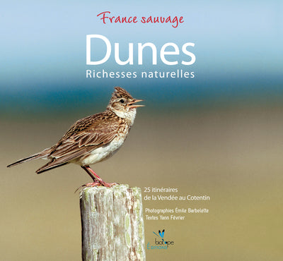 Dunes - Richesses naturelles