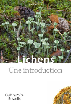 Lichens, Une introduction