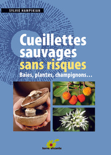 Cueillettes sauvages sans risques