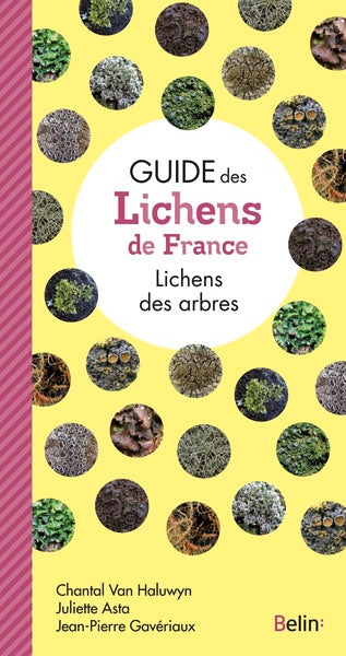 Guide des lichens de France