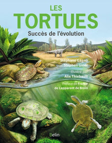 Les tortues