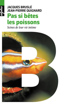 Pas si bêtes les poissons