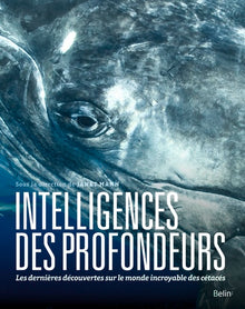 Intelligences des profondeurs