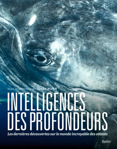 Intelligences des profondeurs