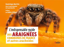 L'indispensable guide des araignées de France et autres arachnides