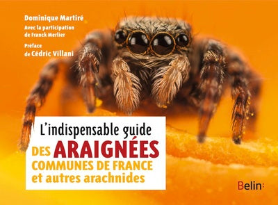 L'indispensable guide des araignées de France et autres arachnides