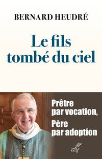 Le fils tombé du ciel