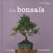 Variations jardins bonsaï