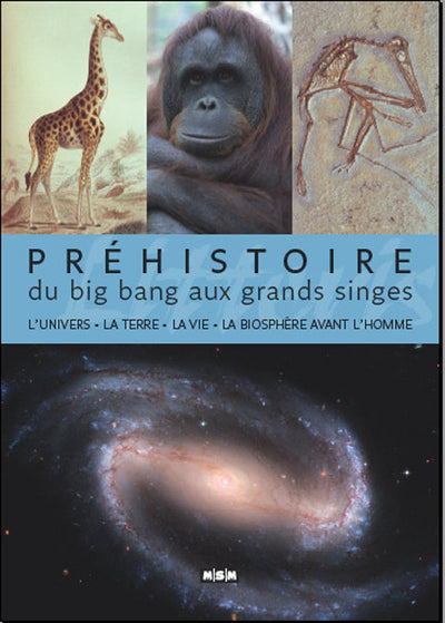 Préhistoire, du Big Bang aux grands singes