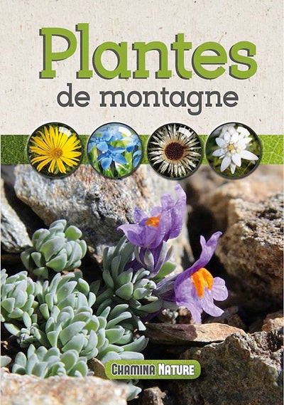 Plantes de montagne