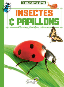 Insectes et papillons