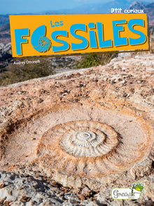 Les fossiles