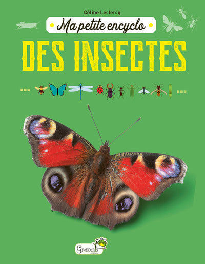 Ma petite encyclo des insectes