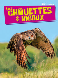 Les chouettes & hiboux