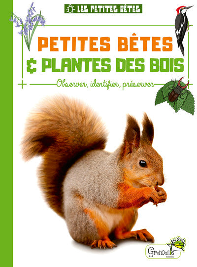 Petites bêtes et plantes des bois