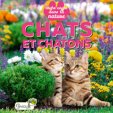 Chats et chatons