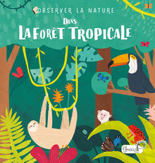Dans la forêt tropicale