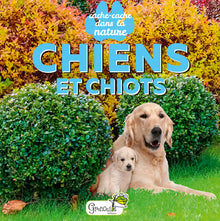Chiens et chiots