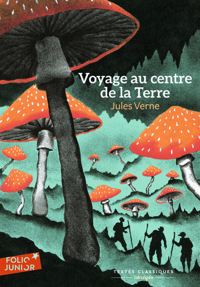 Voyage au centre de la Terre
