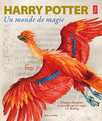 Harry Potter, un monde de magie