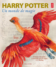 Harry Potter. A la découverte de l'histoire de la magie