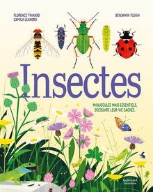 Insectes