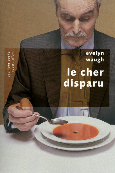 Le Cher disparu