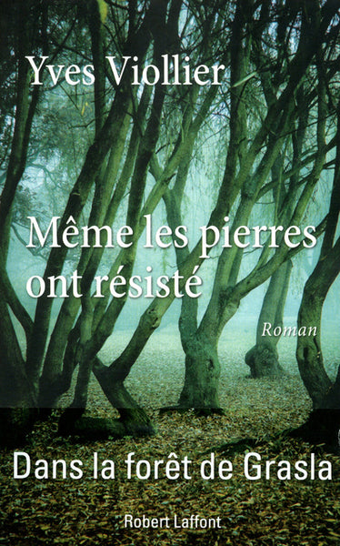 Même les pierres ont résisté