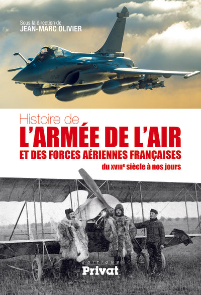 Histoire de l'armée de l'air