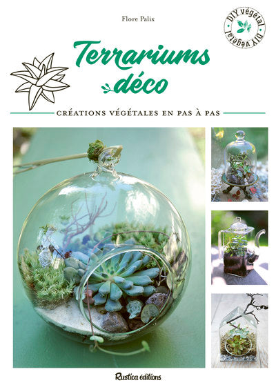 Terrariums déco