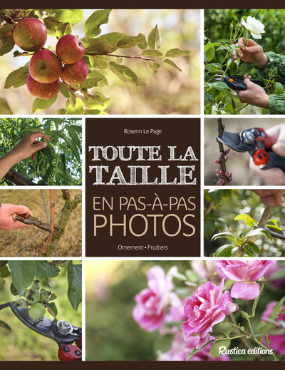 Toute la taille en pas-à-pas photos