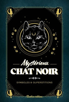 Mystérieux chat noir