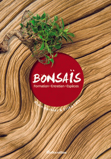 Bonsaïs