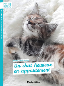 Un chat heureux en appartement