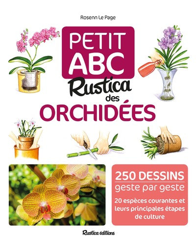 Petit abc rustica des orchidées