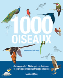 1000 oiseaux