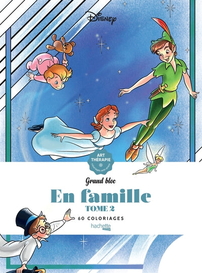 Grands blocs disney en famille - Tome 2
