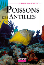 Poissons des Antilles