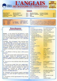 Anglais des managers et consultants