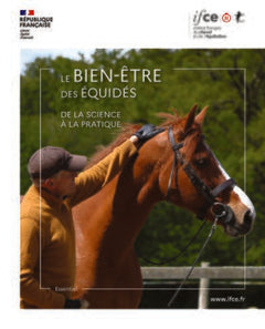 Le bien-être des équidés