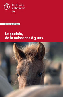 Le poulain de la naissance à 3 ans