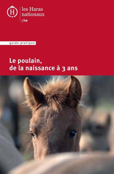 Le poulain de la naissance à 3 ans