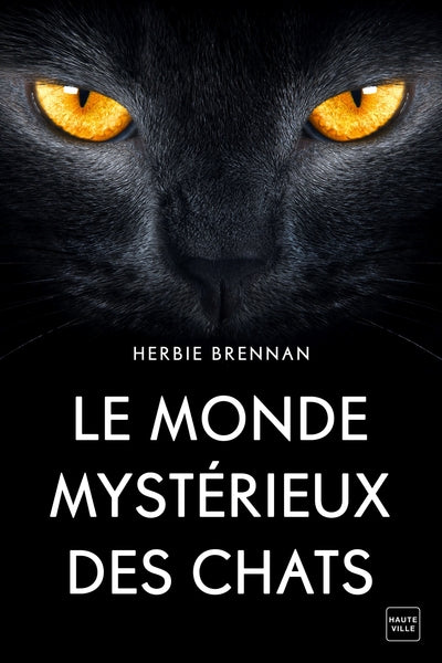 Le monde mystérieux des chats
