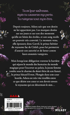 L'Étoile et l'Ombre, T1 : Un royaume d'étoiles et d'ombres
