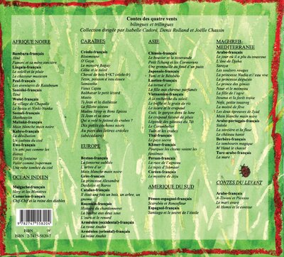 Hibiscus rouge et le jardin fleuri