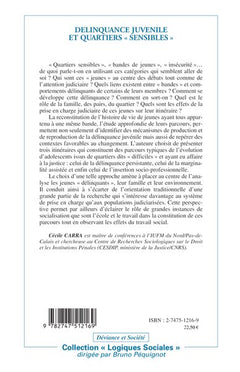 DÉLINQUANCE JUVÉNILE ET QUARTIERS " SENSIBLES "