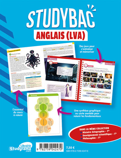 Anglais (LVA) première et terminale