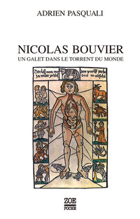 Nicolas Bouvier, un galet dans le torrent du monde